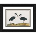 thumbnail image 1 of Anonymous 18x14 Black Ornate Wood Framed with Double Matting Museum Art Print Titled - Bangou Eatan, Crane, 1 of 4