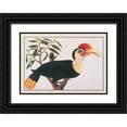 thumbnail image 1 of Anonymous 18x14 Black Ornate Wood Framed with Double Matting Museum Art Print Titled - Ke-ke Hornbill, 1 of 4