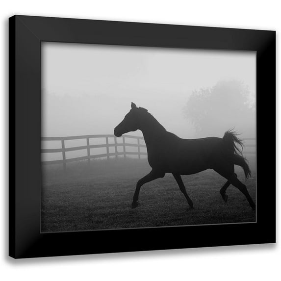 Anonymous 18x15 Black Modern Framed Museum Art Print Titled - Morning Pasture II