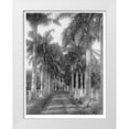 thumbnail image 1 of Anonymous 19x24 White Modern Wood Framed Museum Art Print Titled - Royal Palm Ave, Honolulu, 1907, 1 of 4