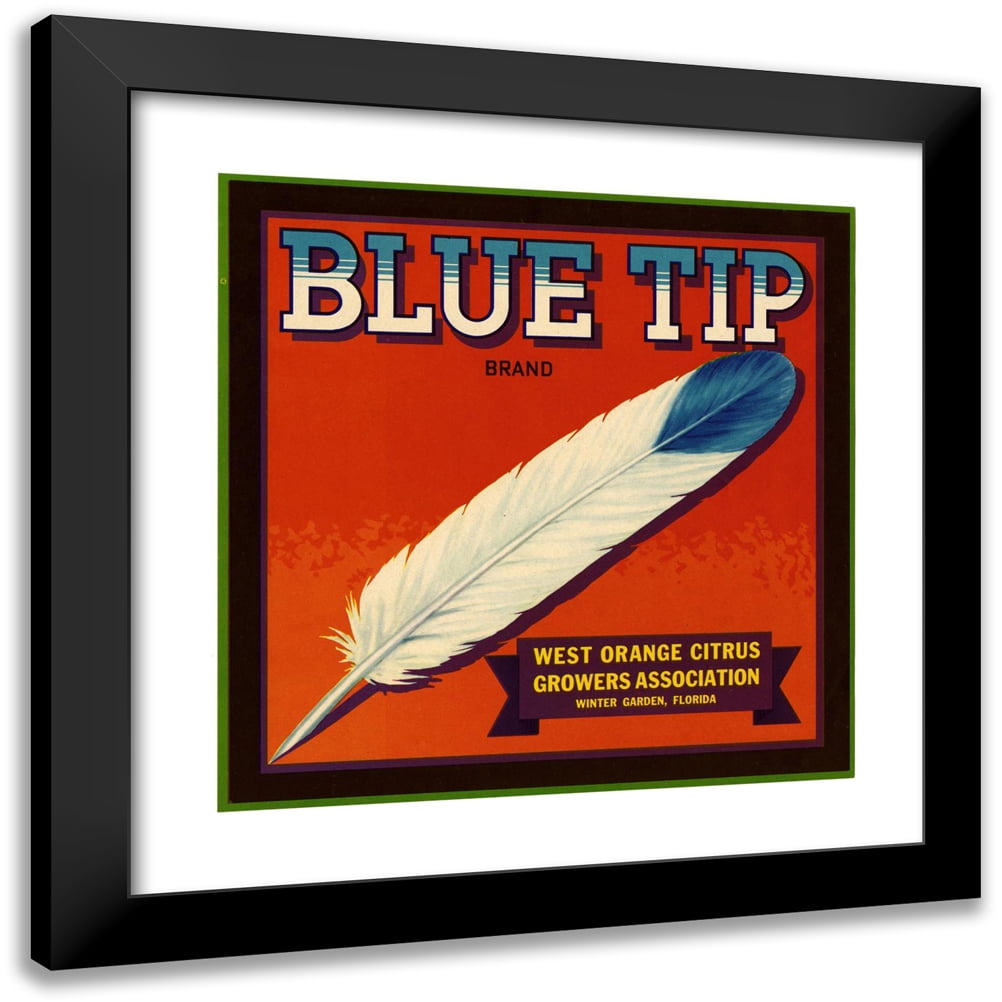 Anonymous 20x20 Black Modern Framed Museum Art Print Titled - Blue Tip ...