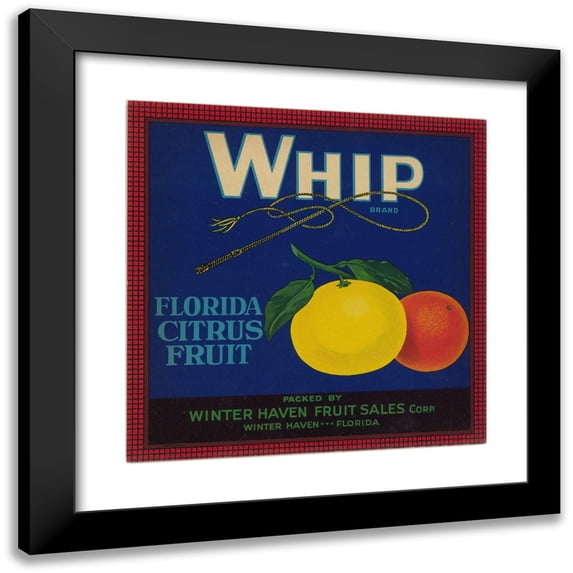 Anonymous 20x20 Black Modern Framed Museum Art Print Titled - Whip Brand Florida Citrus Fruit Label (1930s)