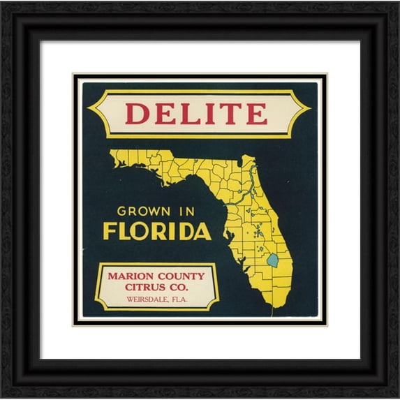 Anonymous 20x20 Black Ornate Framed Double Matted Museum Art Print Titled: Citrus Label for Delite - Black and Yellow (1930-1950)