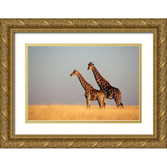 Anonymous 24x17 Gold Ornate Wood Framed with Double Matting Museum Art Print Titled - African Skies II