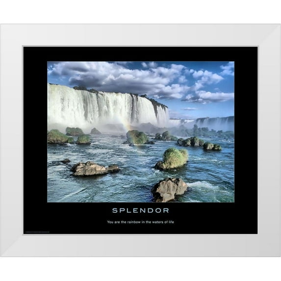 Anonymous 24x20 White Modern Wood Framed Museum Art Print Titled - Splendor