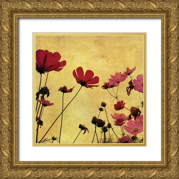 Anonymous 26x26 Gold Ornate Wood Framed with Double Matting Museum Art Print Titled - Country Poppies