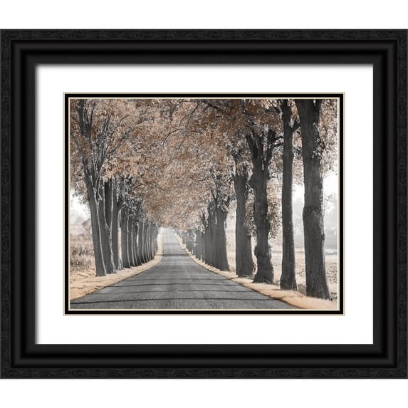 Anonymous 32x26 Black Ornate Wood Framed with Double Matting Museum Art Print Titled - Road Through Tree Alley