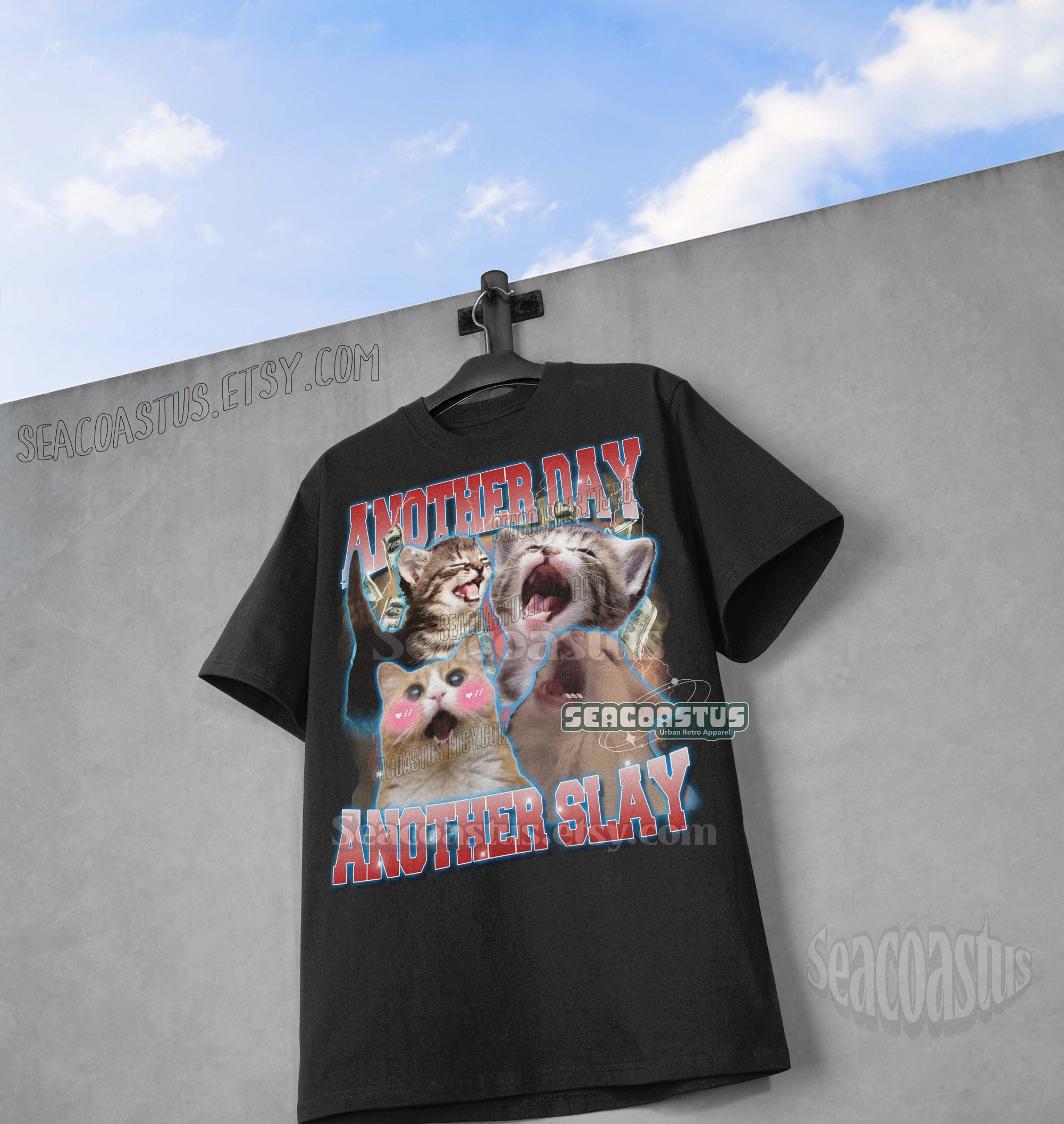 Another Day Another Slay Meme Shirt, Funny Cat Meme TShirt, Weird Gag