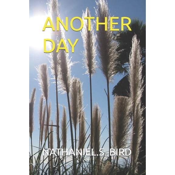Another Day, (Paperback)