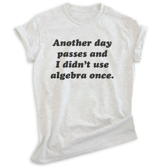 Another Day Passes And I Didn't Use Algebra Once Shirt, Unisex Women's Men's Shirt, Math Algebra T-shirt, Heather Ash, X-Large