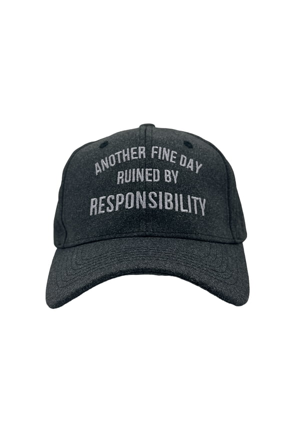 Another Fine Day Ruined By Responsibility Hat Funny Graphic Cap