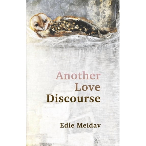 Another Love Discourse (Paperback)
