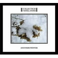 thumbnail image 1 of Another Winter (CD), 1 of 1