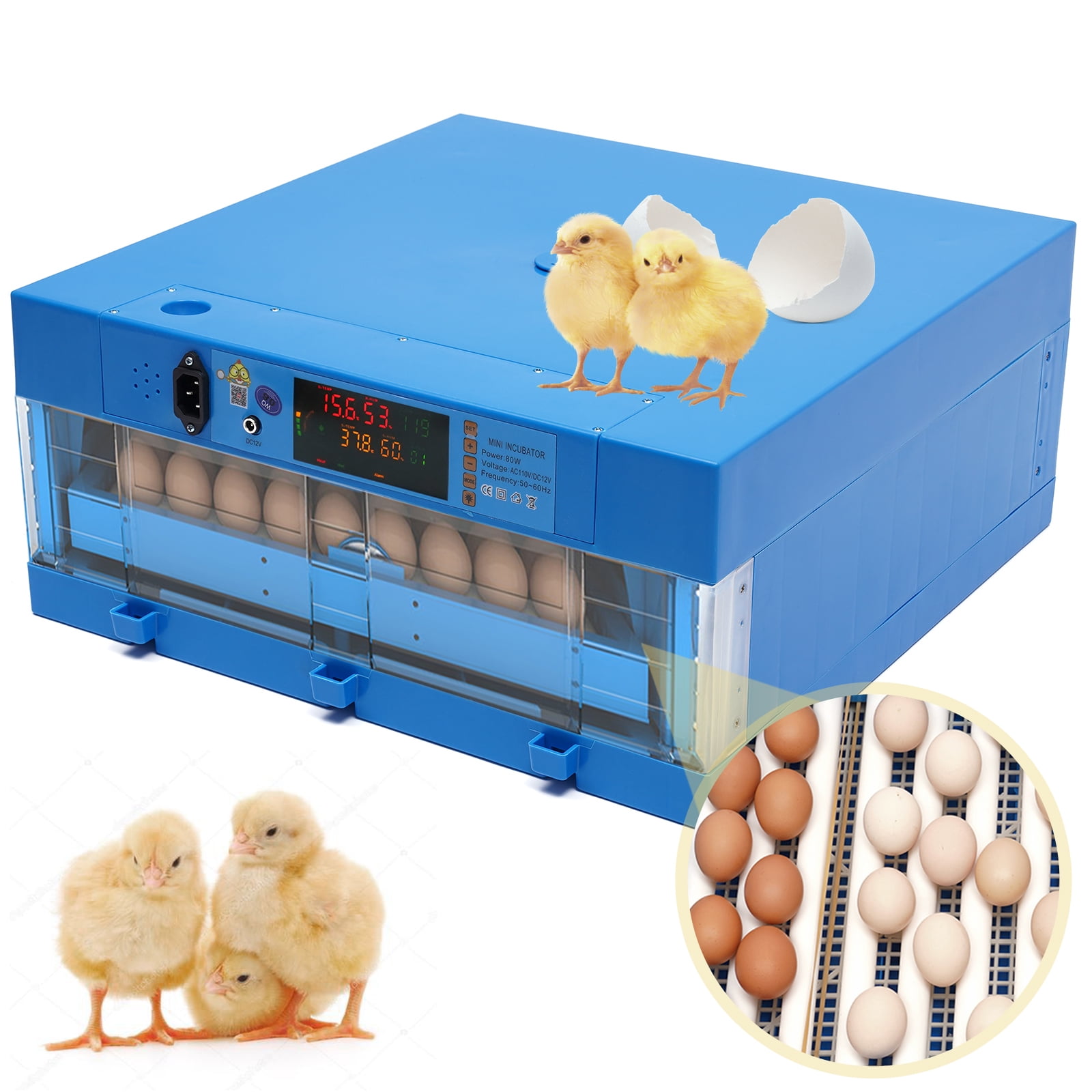 Anqidi Fully Automatic 64 Eggs Incubator, Dual Power Supply Digital Turner Hatching Machine Dual for Chicken, Ducks, Geese 110V/12V