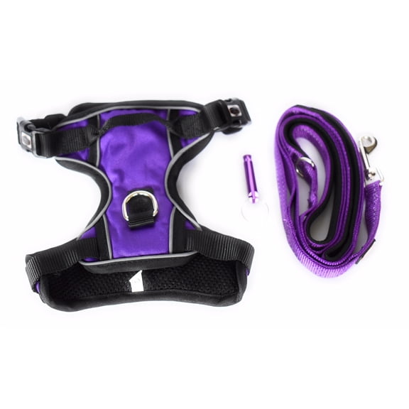 Ansale Easy Walk Dog Harness and Leash Set: No-Pull Vest with Handle, Reflective Stitches, Available in Multiple Colors and Sizes (X-Small, Purple)