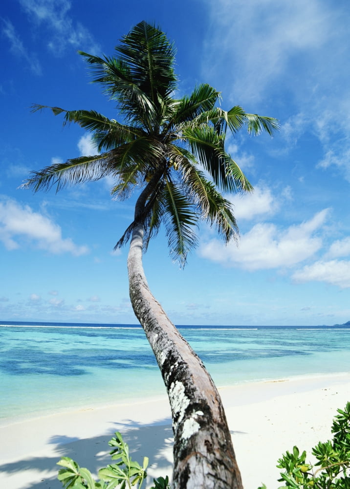 Anse Sourse Dargent Canvas Art - Chris Caldicott Design Pics (13 x 18)