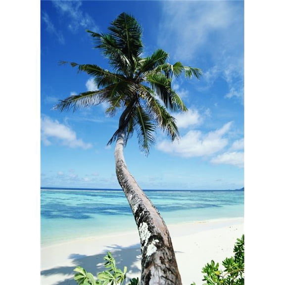 Anse Sourse Dargent Poster Print - 13 x 18