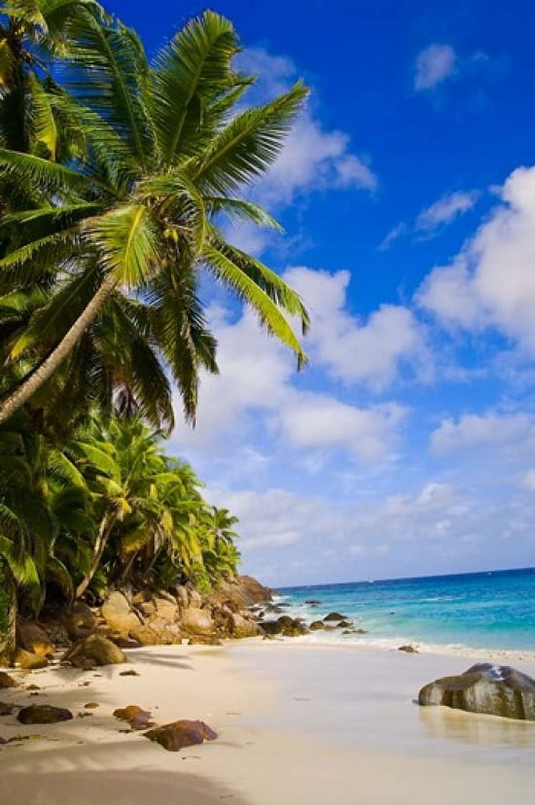 Anse Victorin Beach Fregate Island Seychelles Canvas Art - Alison Wright DanitaDelimont (23 x 34)
