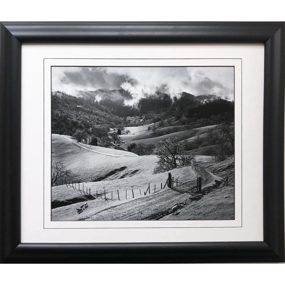 Ansel Adams "Pasture" Sonoma Valley, California Custom Framed NEW ART Generic