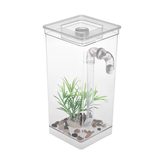 Anself Small Fish Tank Bowl Kit with Lighting and Smart Cleaning for Home Office Children Valentine Gifts