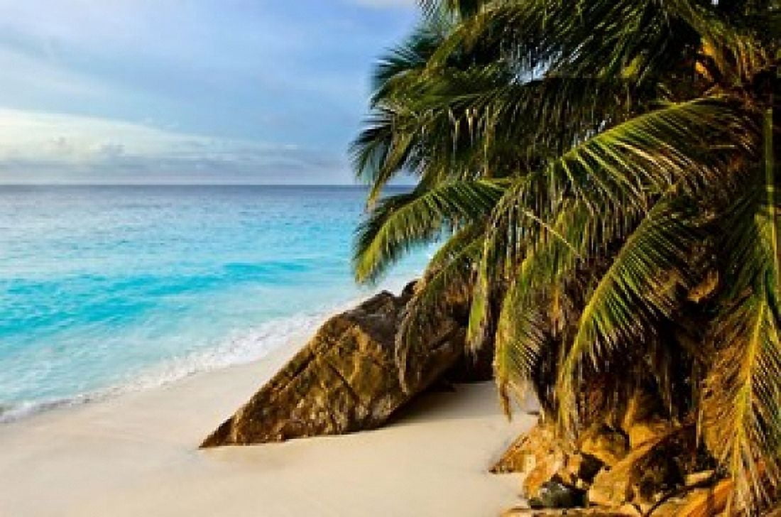 Ansi Victorin Beach Seychelles Canvas Art - Alison Wright DanitaDelimont (34 x 23)