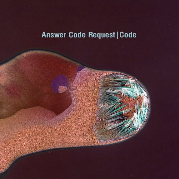 Answer Code Request - Code - Electronica - CD