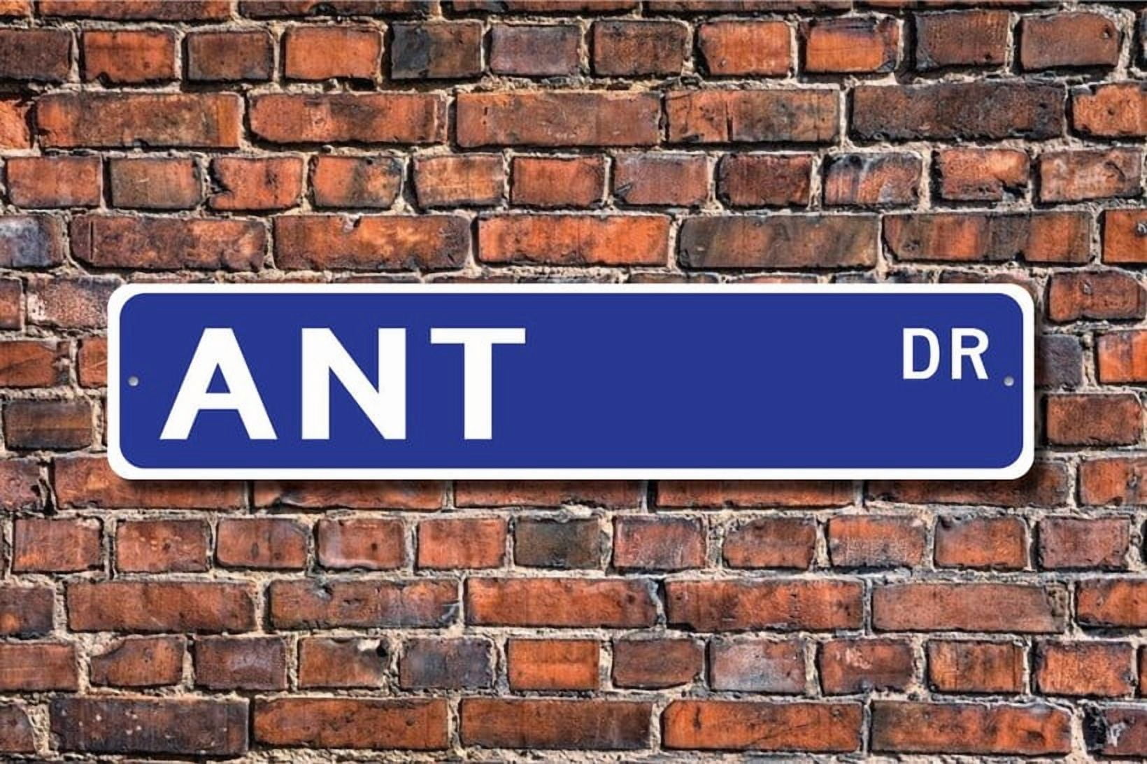 Ant Ant Gift Ant Sign ant colonies picnic pests home invaders sweet ...
