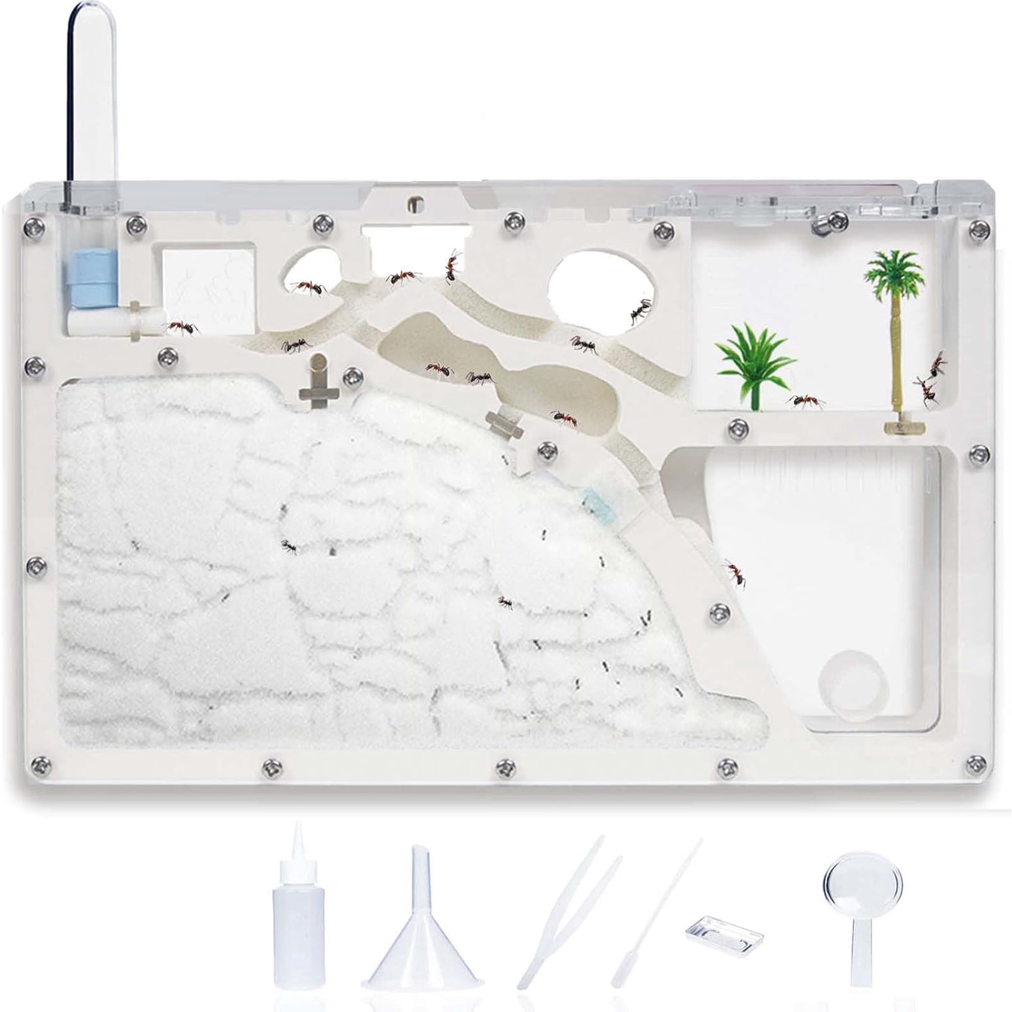 Ant Farm Castle,Ant Viewing Habitat Science Kit,Ant Colony Observation ...