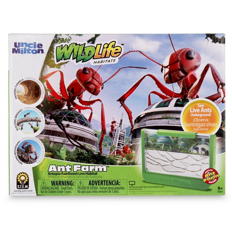 Uncle Milton Kids Live Play Rainforest Ant Farm, Green - 60th