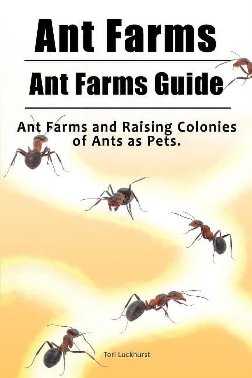 Ant Farms. Ant Farms Guide. Ant Farms and Raising Colonies of Ants as ...