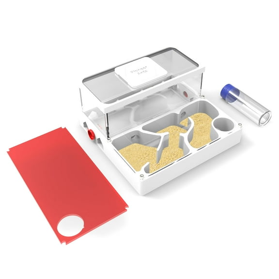 Ant Farms with Yellow Sand and Tool Kit-Transparent Ant Farm for Adults 3D Printed Ant Nest Workshop Castle Ant Garden for Live Ants and Queen