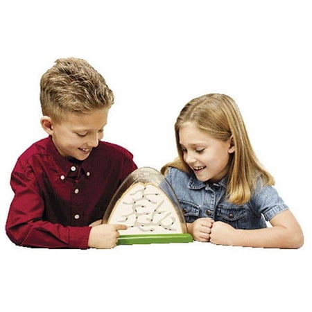 Ant Hill-Double-Sided Viewing Area