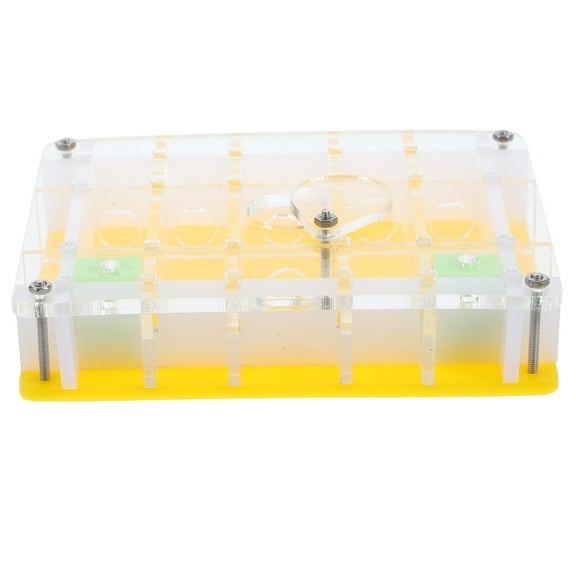 MEIBUTYUP Insect Display Case Box Acrylic Multi 1 Set