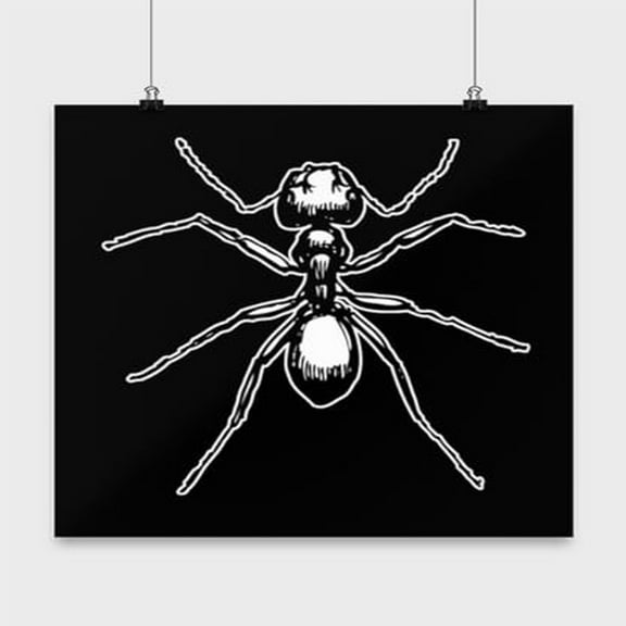 Ant Illustration Art - Bug Enthusiast - 13x13 Poster Print - Nature Decor