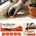 thumbnail image 1 of Ant Traps Indoor & Outdoor Gel Station Insect Control System – Long Lasting Pest Management Solution (1PC), 1 of 8