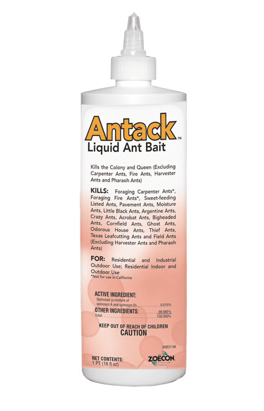 Antack Liquid Ant Bait - Control of Numerous Ant Species - 16 fl oz Bottle by Zoecon