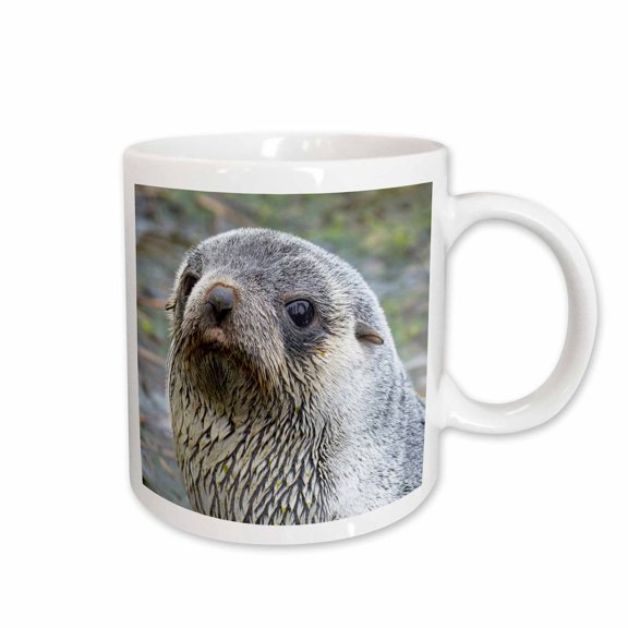3drose, Antarctic Fur Seal, Arctocephalus Gazella. South Georgia Island, 11oz Mug