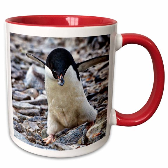 3drose, Antarctica. Adelie Penguin Gathers a Pebble for a Nest., 11oz Two-tone Red Mug