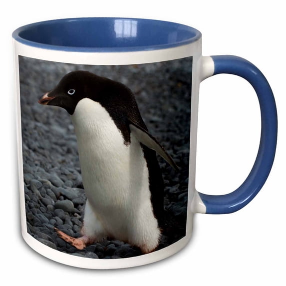 3drose, Antarctica. Brown Bluff. Adelie Penguins., 11oz Two-tone Blue Mug