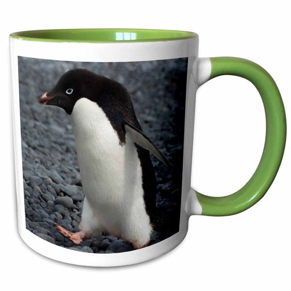 3drose, Antarctica. Brown Bluff. Adelie Penguins., 11oz Two-tone Green Mug