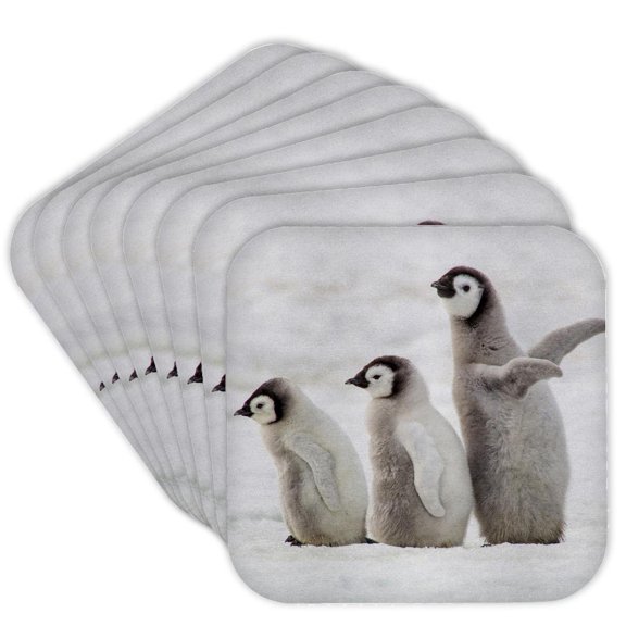 3drose, Antarctica. Emperor Penguin Chicks Searching for Their Parents., Set of 8 Coasters - Soft