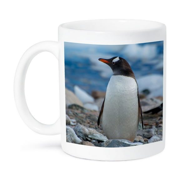 3dRose, Antarctica. Neko Harbor. Gentoo Penguin., 11oz Mug