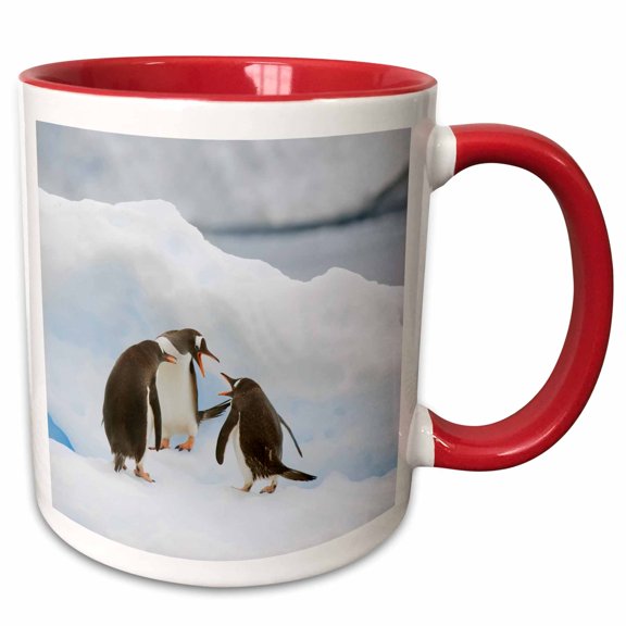 3drose, Antarctica, Neko Harbor, Gentoo Penguins -an02 Bja0043 - Janyes Gallery, 11oz Two-tone Red Mug