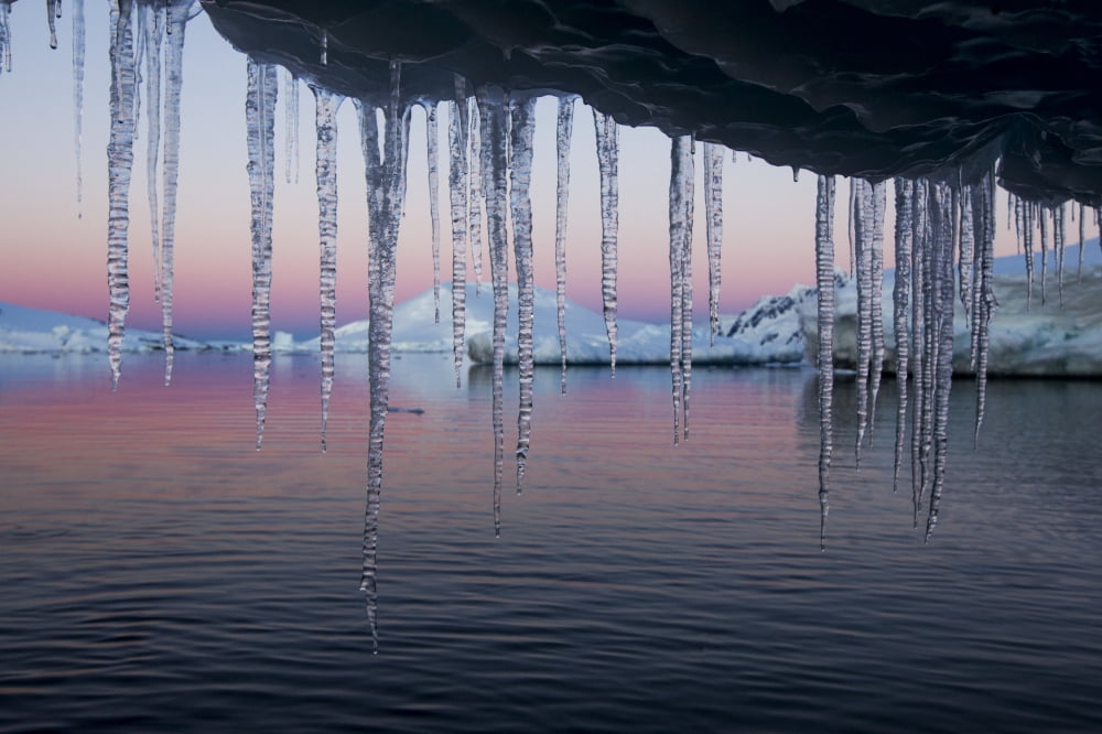 Antarctica Petermann Island Icicles hang from melting iceberg near Lemaire Channel at sunset on summer evening Canvas Art - Paul Souders Design Pics (17 x 11)