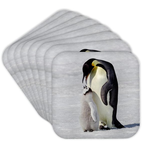 3drose, Antarctica, Snow Hill. Emperor Penguin Chick Tended by Its Parent., Set of 8 Coasters - Soft