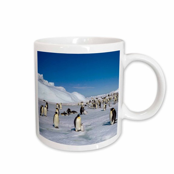 3drose, Antarctica, Snow Hill. Emperor Penguin Rookery on Pack Ice, 11oz Mug