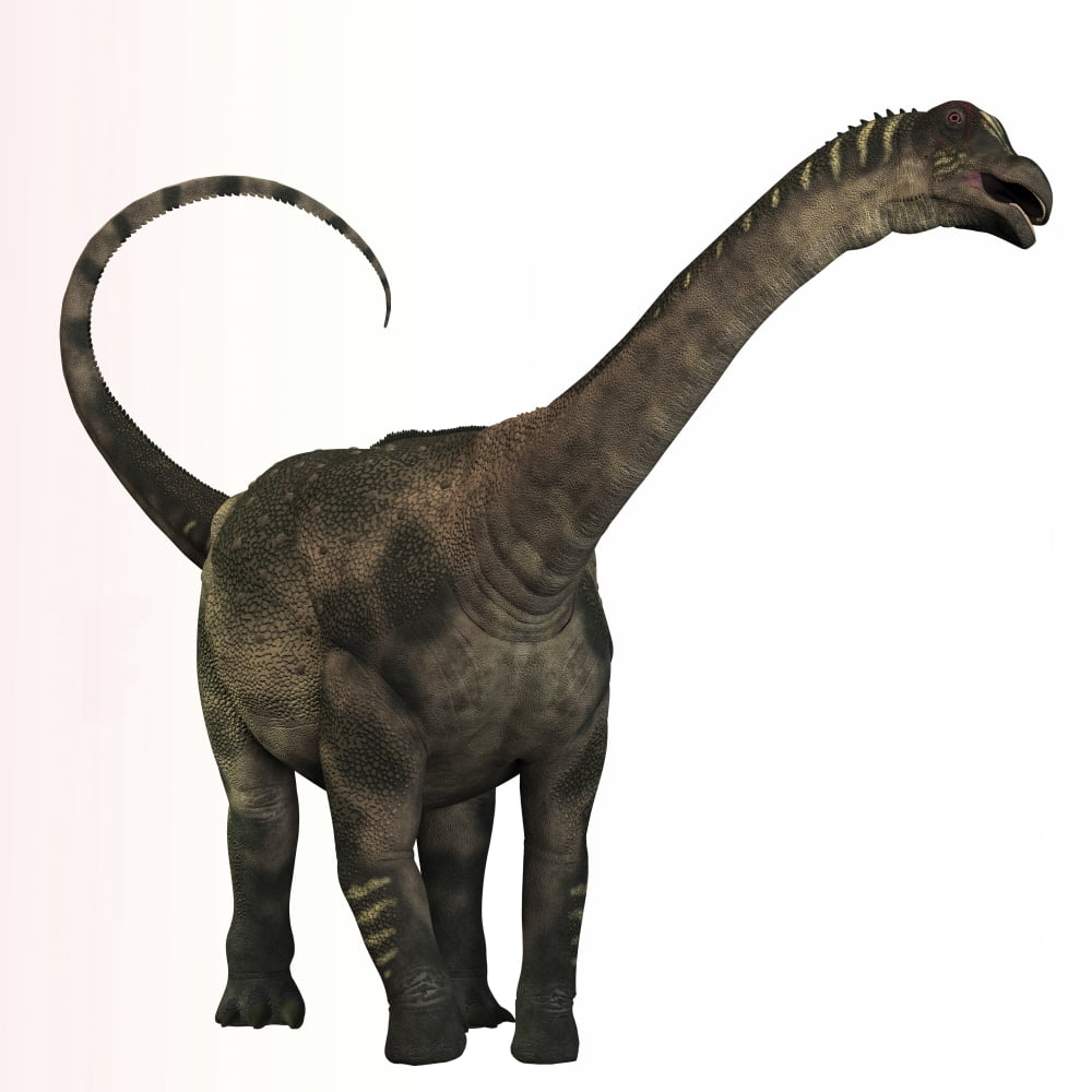 Antarctosaurus dinosaur from the Cretaceous Period Canvas Art - Corey FordStocktrek Images (29 x 29)