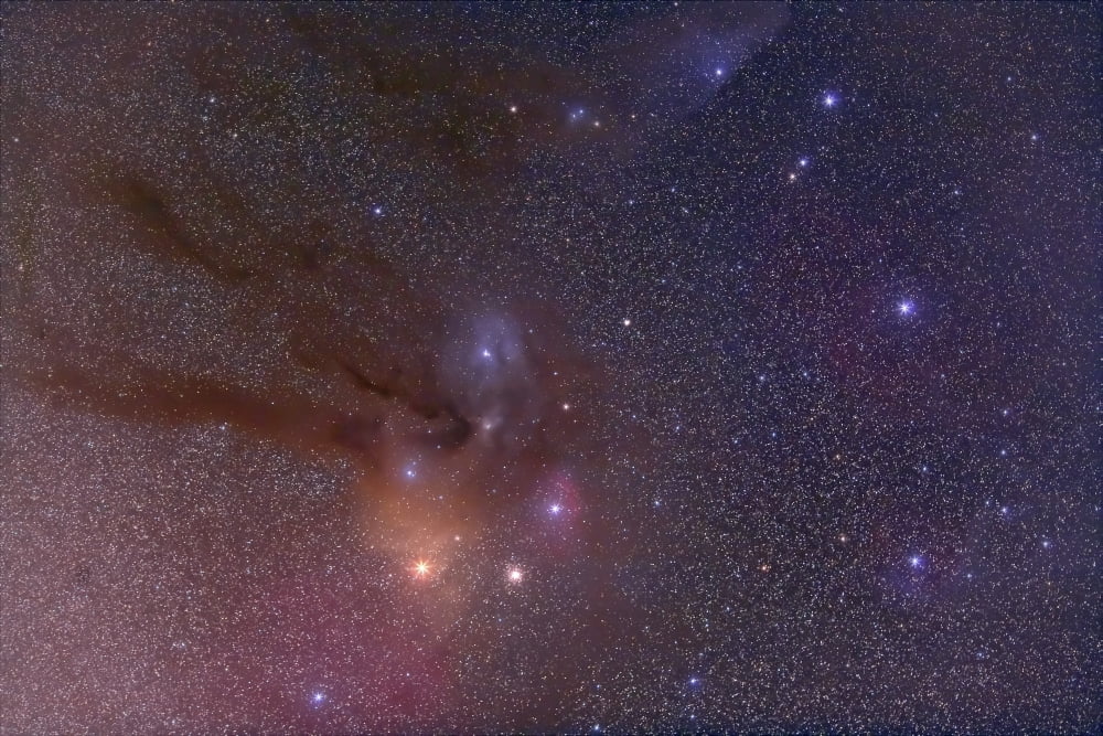Antares and Scorpius Head area with Rho Ophiuchi nebulosity Canvas Art - Alan DyerStocktrek Images (35 x 23)