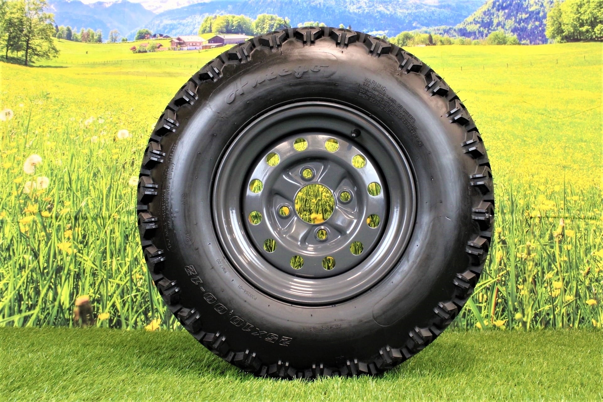 Antego Tire and Wheel (Qty:1) 25x10.00-12 tire with 4 Hole wheel for Kubota RTVs 900, 1100, @ 1140 UTVs Assy 6 Ply ATW-045