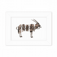 thumbnail image 1 of Antelope Body Segregation Assemblage Photo Mount Frame Picture Art Painting Desktop 5x7 inch, 1 of 4